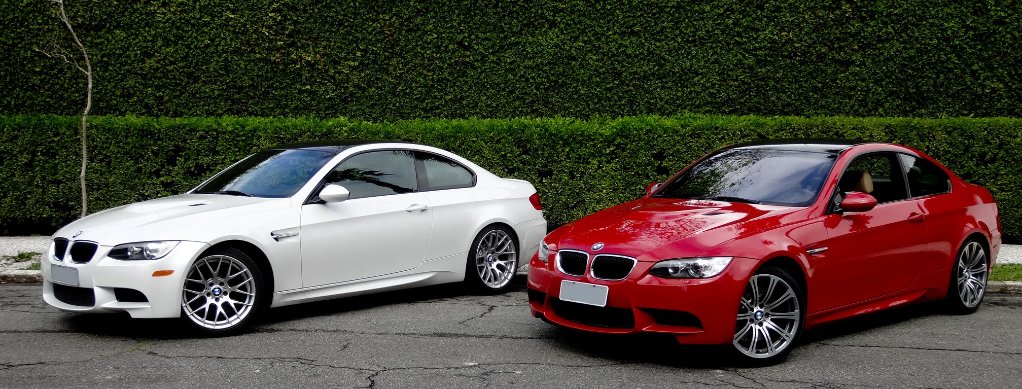 White and Red